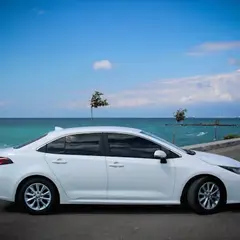 Car rental