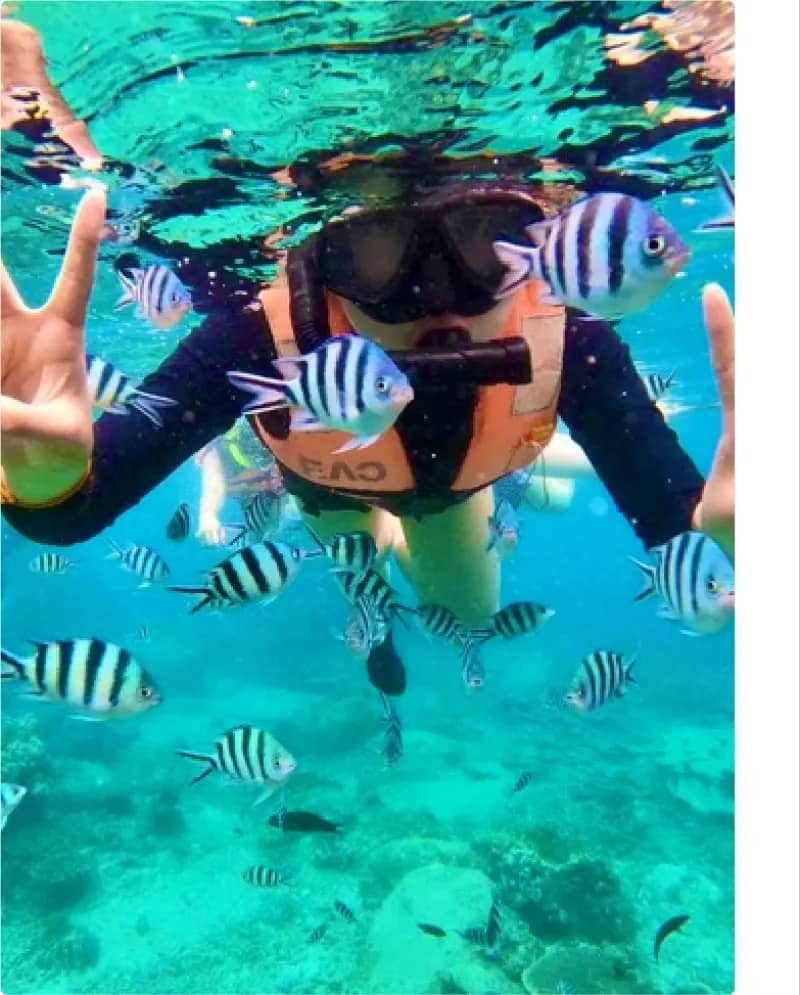 Koh Tao & Koh Nangyuan