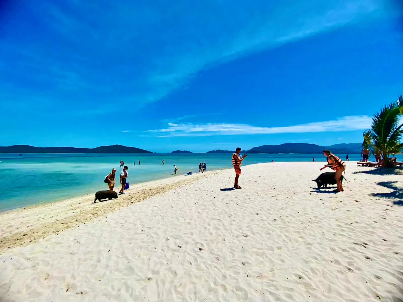 Pig Island — Koh Tan & Koh Madsum