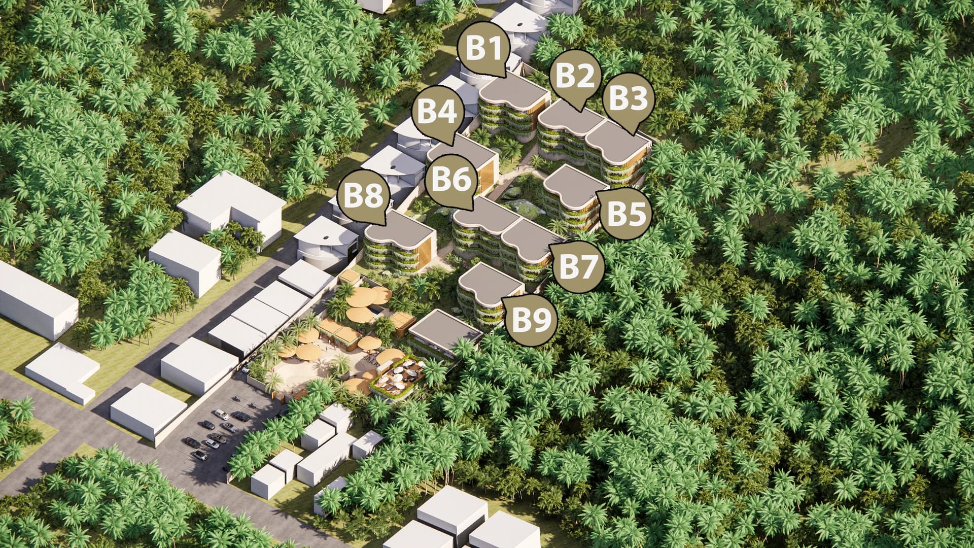 Solaya Bird View - AKSO BIRD ALL OZNACZENIA.webp