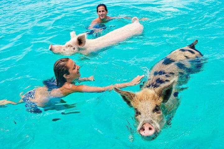 Pig Island — Koh Tan i Koh Madsum
